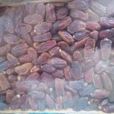 মাশরুক খেজুর