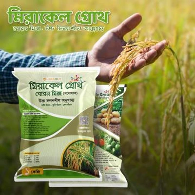 মিরাকেল গ্রোথ