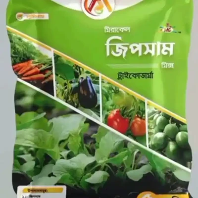 জিপসাম